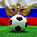 Футбол — самый популярный вид спорта в России, хоккей на десятом месте
