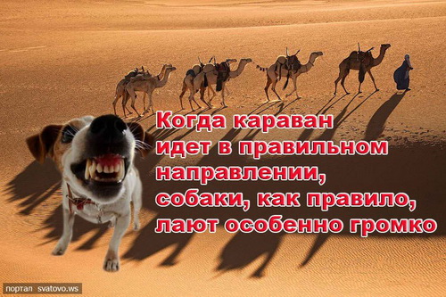 Селюк: "Спартак" может забрать Кокорина в случае дисквалификации" Селюк: "Спартак" может забрать Кокорина в случае дисквалификации"