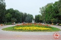 Динамо - Спартак