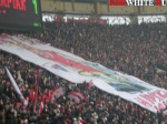 surcup16.jpg