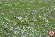 DSC_9575.JPG