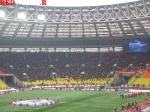 surcup7.jpg