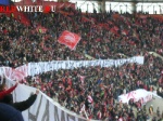 surcup1.jpg