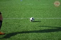 DSC_0514.jpg