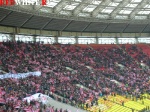 surcup3.jpg