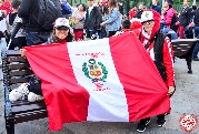 Fans of the World Cup in Moscow (60)