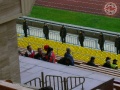 DSCN2509.JPG