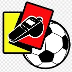 Арбитр Федотов высказался о судействе в матче «Сочи» — «Спартак»