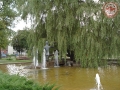 DSC01832.jpg