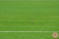Спартак - Амкар 5:1