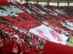 surcup8.jpg