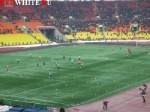 surcup2.jpg
