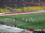 surcup11.jpg