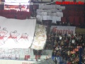 IMG_0151_resize.JPG