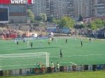 perm37.jpg