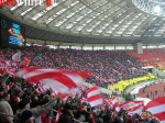 surcup9.jpg