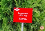 Тренировка Спартака