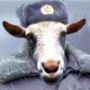 Билеты на матч "Спартак" - "Динамо" Билеты на матч "Спартак" - "Динамо"