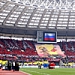 Установлена внешность вывесивших баннер в Лужниках