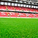 «Открытие Арена»: поле будет готово к проведению матча «Торпедо» — «Спартак»